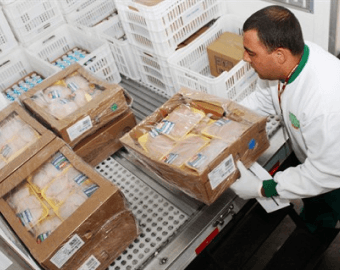 Pessoa descarregando caminhão de produtos